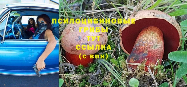 дживик Покровск
