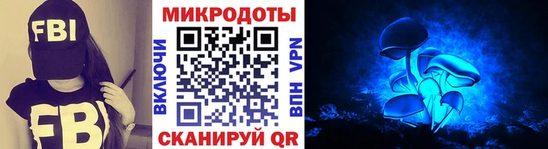 Псилоцибиновые грибы мицелий  Купить где  Сертолово 