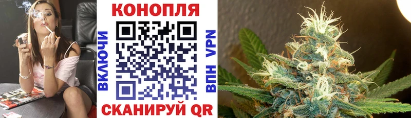 Купить закладки  Сертолово  Марихуана план 